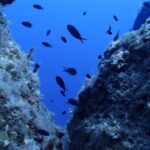 Try Scuba Diving in Lanzarote (No experience needed) - What the Beginner’s Dive Experience Includes
