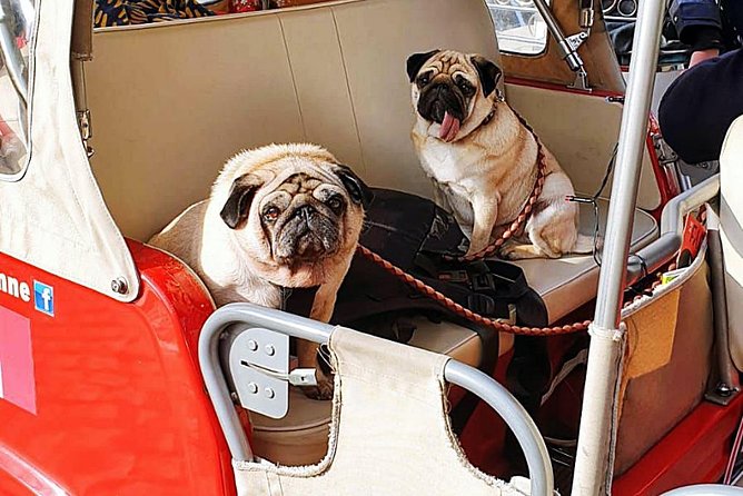 Tuk tuk Lisbon a discovery à la carte without fatigue. Lisbon differently.01 - Exploring Lisbons Historic Landmarks