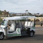 Tuk tuk route through Córdoba - Highlights of Córdoba’s Most Famous Landmarks