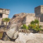 Tulum and Extreme Ride from Cancun - Exploring the Tulum Ruins on the Caribbean Sea