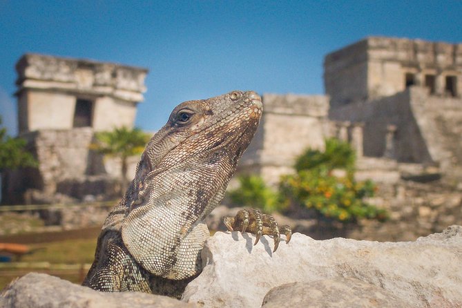 Tulum and Extreme Ride from Cancun - Exploring the Tulum Ruins on the Caribbean Sea