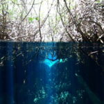 Tulum: Discover Scuba Diving in Cenotes - The Unique Setting of Tulum’s Cenotes