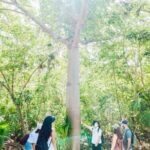 Tulum, Jungle ATV and Cenote Adventure - Exploring the Tulum Archaeological Site