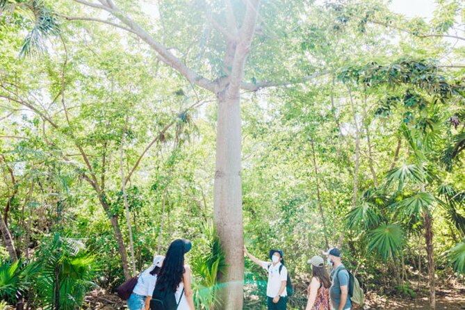 Tulum, Jungle ATV and Cenote Adventure - Exploring the Tulum Archaeological Site