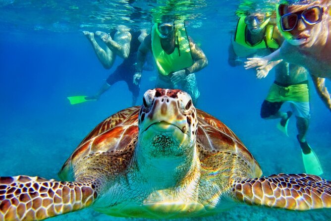 Tulum Mayan Ruins and Snorkeling with Turtles at Akumal - Practical Details of the Tour Logistics