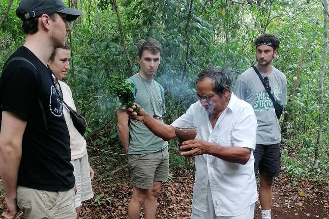 Tulum Monkey Sanctuary Tour Punta Laguna - Exploring Punta Laguna Nature Reserve