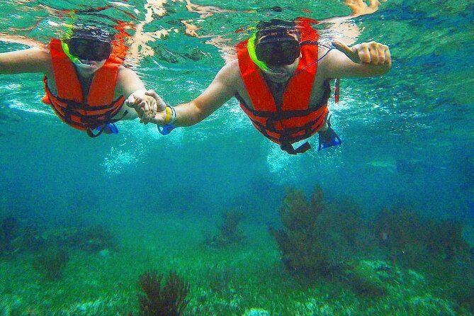 Tulum Ruins Snorkel with Sea Turtle and Cenotes Private Tour - Starting at the Iconic Tulum Archaeological Site