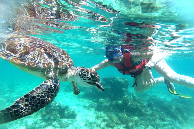 Tulum Ruins, Snorkeling with Turtles and Underground Caves - Snorkeling and Turtle Sightings in Akumal Bay