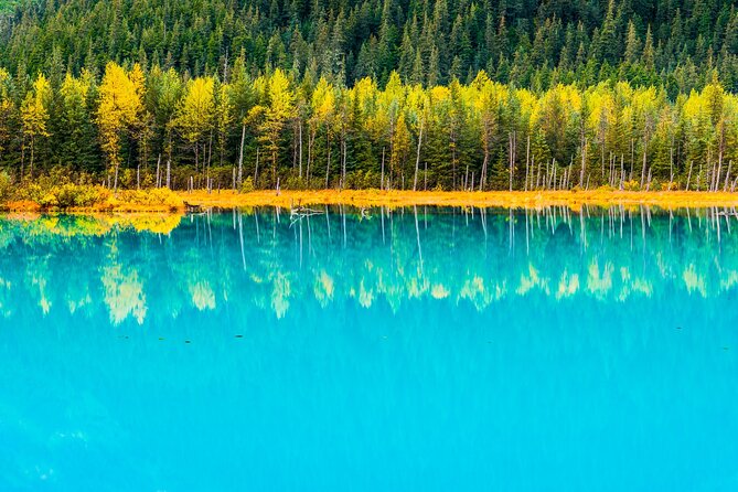 Turnagain Arm Highlights Photo Tour - Visiting the Off-the-Beaten-Path Photosites