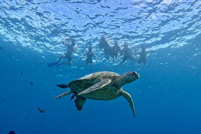 Turtle Canyon Snorkel Adventure in Waikiki - Snorkeling Equipment and Guides