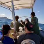 Turtle Canyon Snorkel: Semi Private Boat Tour - Exploring Turtle Canyon: Waikiki’s Premier Snorkel Spot