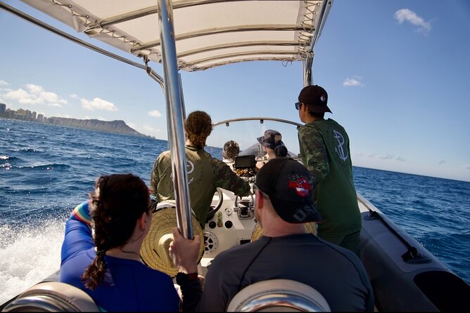 Turtle Canyon Snorkel: Semi Private Boat Tour - Exploring Turtle Canyon: Waikiki’s Premier Snorkel Spot