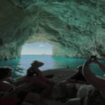 Turtle Cruise from 9 am or 12 noon or 3 pm for 3 hours - Starting Point and Logistics