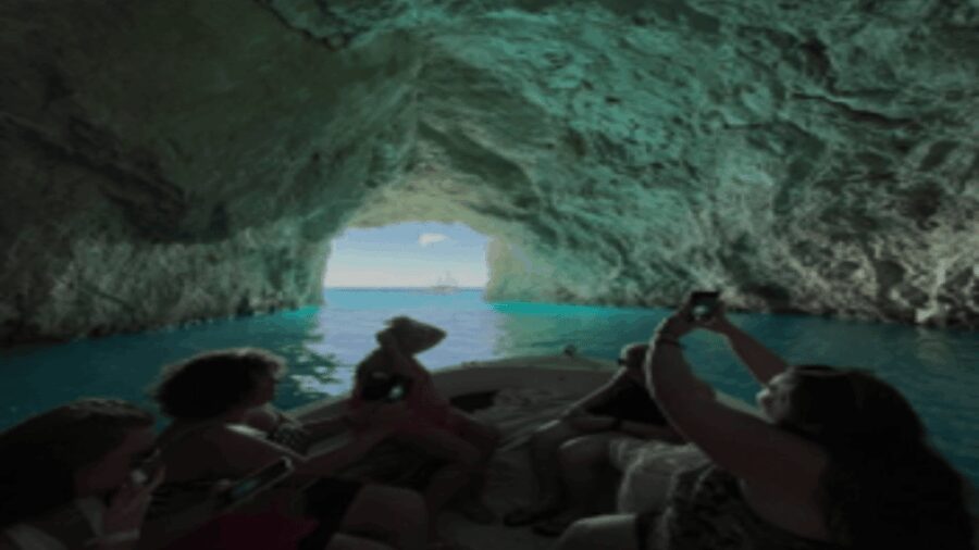 Turtle Cruise from 9 am or 12 noon or 3 pm for 3 hours - Starting Point and Logistics