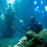 Turtle & Shark Scuba Dive in Lahaina: Certified - All Equipment Provided for a Hassle-Free Underwater Experience