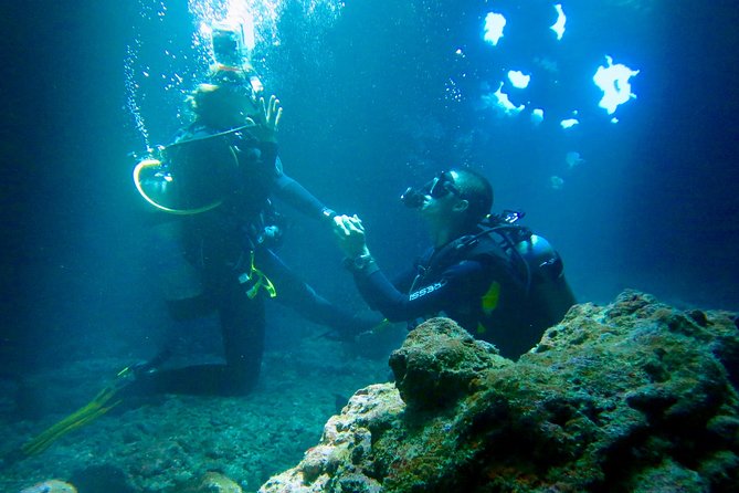 Turtle & Shark Scuba Dive in Lahaina: Certified - All Equipment Provided for a Hassle-Free Underwater Experience