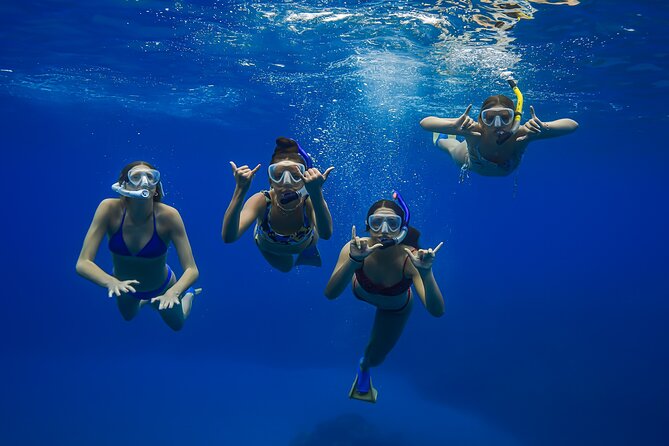 Turtle Town Snorkel with Photo and Video - The Guide: Knowledgeable and Passionate Ocean Lovers