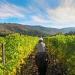 Tuscany: Horseback Riding Adventure with Lunch in a Winery - Exploring San Gimignano’s Countryside by Horseback