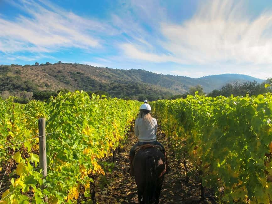 Tuscany: Horseback Riding Adventure with Lunch in a Winery - Exploring San Gimignano’s Countryside by Horseback