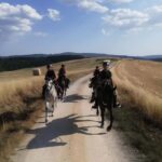Tuscany: Horseback Riding Experience in Buonconvento - Who Should Consider This Tour