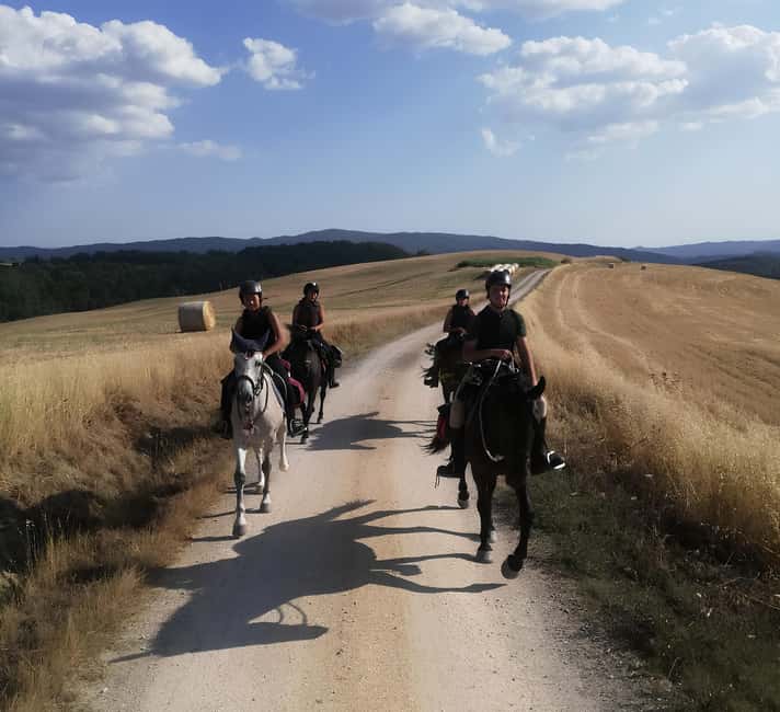 Tuscany: Horseback Riding Experience in Buonconvento - Who Should Consider This Tour