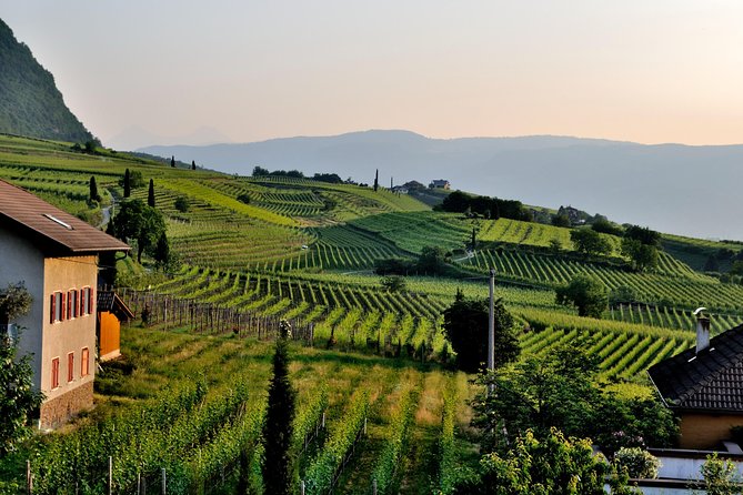 Tuscany Wine Tour from Rome with Private Driver - Exploring Pienza: Architectural Beauty and Gourmet Delights