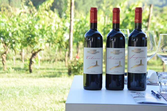 Tuscany Wine Tours in a family winery Podere Pellicciano - Visiting the Vineyard and Olive Groves