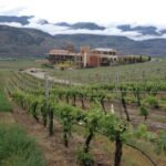 Two Day Private Wine and Bike Tour Vancouver to Kelowna - Arriving in Kelowna for a Relaxed Lunch