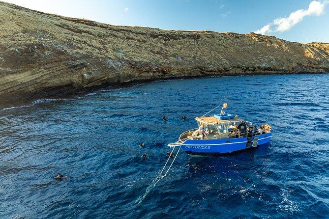 Two Site Snorkeling Adventure featuring the Molokini Crater - South Maui Coastline and Turtle Town Visits