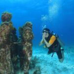 Two Tanks Scuba Diving for Beginners in Cancun - Exploring Manchones Reef: Cancun’s Iconic Marine Habitat