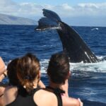 Ultimate 2 Hr Exclusive VIP Whale Watch Tour from Kaanapali Beach - Key Points