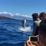 Ultimate 4 Hour Lanai Snorkel and Dolphin Encounter - Starting Point and Timing in Lahaina