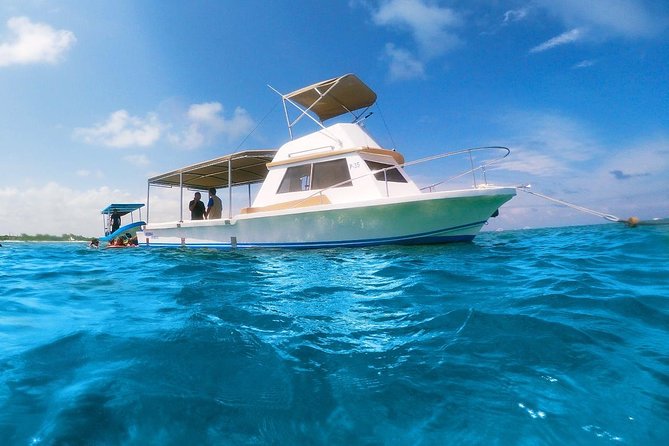 Ultimate 5x1 Combo with ATV, Ziplines, Cenote & Reef Snorkeling - Starting Point and Tour Schedule in Cancun