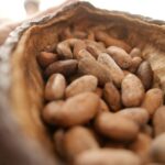 Ultimate Chocolate Tour in Montreal with Included Tastings - Exploring Mile End’s Mexican Culinary Scene