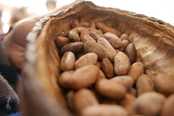 Ultimate Chocolate Tour in Montreal with Included Tastings - Exploring Mile End’s Mexican Culinary Scene