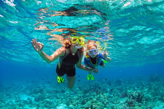 Ultimate Grand Oahu Circle Island Tour with Snorkeling and More - Visiting Iconic Landmarks: Diamond Head to MacNut Farm