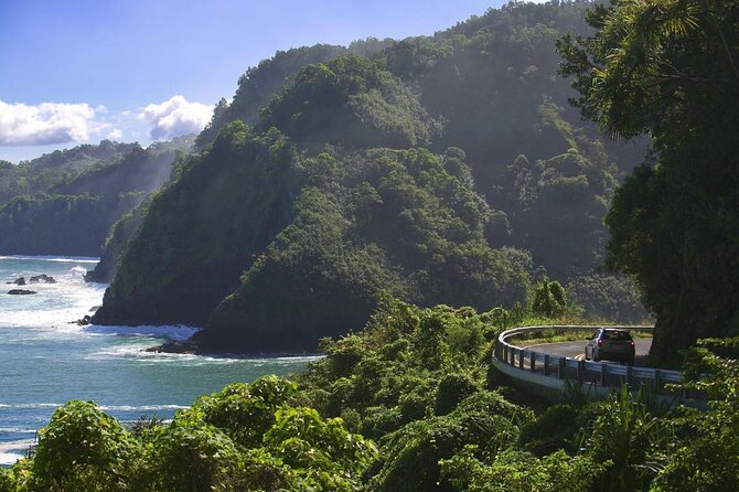 Ultimate Hana Full-Day Adventure Tour - Exploring the Dense Bamboo Forest and Hidden Waterfalls