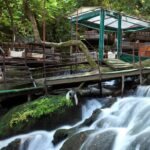 Ulupinar Fishing and Picnic Half-day Tour - All-Inclusive Fishing Equipment and Guidance