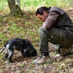 Umbria Truffle Hunting Experience with Brunch - Tasting Umbrian Specialties After the Hunt