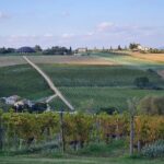 Umbria Wine Lovers Tour l Montefalco & Bevagna l Small group Tour - Visiting Montefalco: The Charm of the First Winery