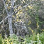 Uncharted Mayan Ruins - Exploring the Archaeological Site of Labna