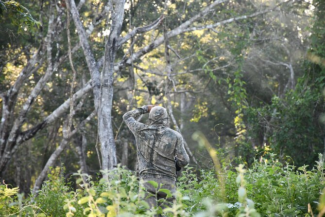 Uncharted Mayan Ruins - Exploring the Archaeological Site of Labna