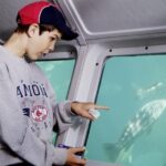 Undersea Expedition: Catalina Island Tour - Inside the Climate-Controlled Cabins and Seating Arrangement