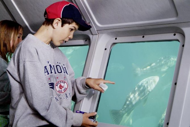 Undersea Expedition: Catalina Island Tour - Inside the Climate-Controlled Cabins and Seating Arrangement