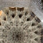 Unforgettable Alhambra Tour: group tour - Highlights of the Stops on the Tour