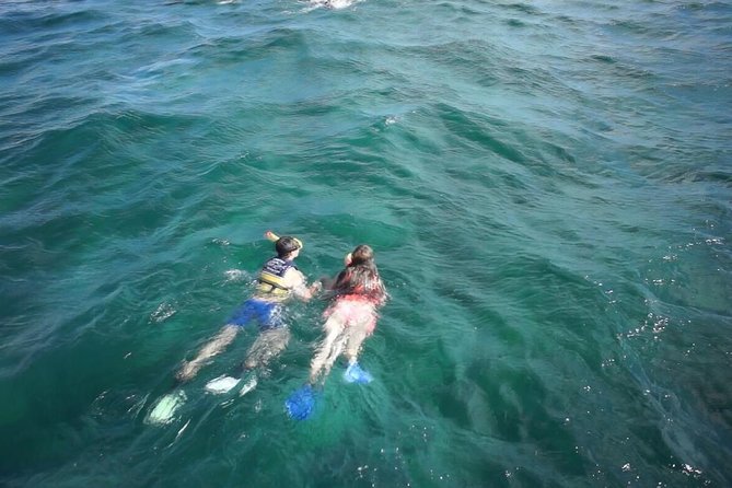 Unforgettable Catamaran Cruise from Cancun to Isla Mujeres - From Cancun to Isla Mujeres on a Fully-Equipped Catamaran