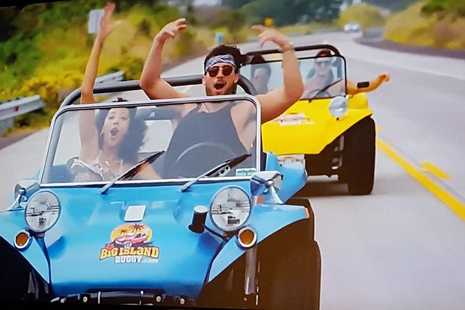 Unique Buggy Rental on the Big Island, Hawaii - Detailed Options: Buggies and Their Features