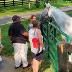 Unique Horse Farm Tours with Insider Access to Private Farms - What Makes KatieRich Farms Stand Out?