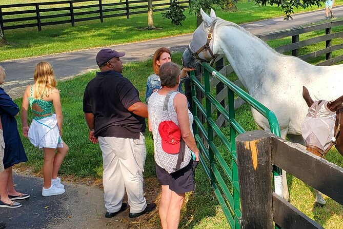 Unique Horse Farm Tours with Insider Access to Private Farms - What Makes KatieRich Farms Stand Out?