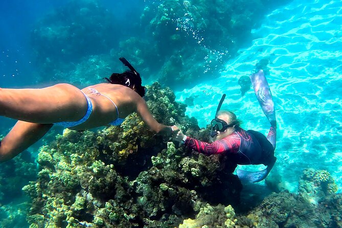 Unlimited Guided Snorkeling Tour for Beginners Plus - Starting Point and Practical Details in Lahaina